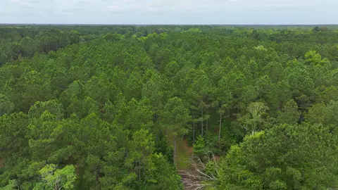 Other - 4654 Calhoun 22, Hampton, AR 71744 photo 2 of 23