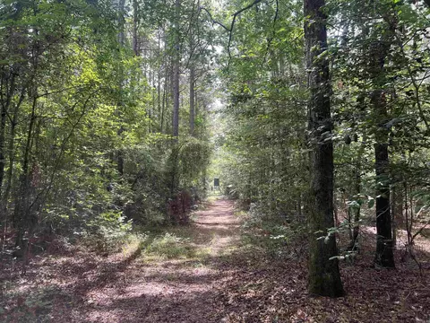 Other - 4654 Calhoun 22, Hampton, AR 71744 photo 10 of 23