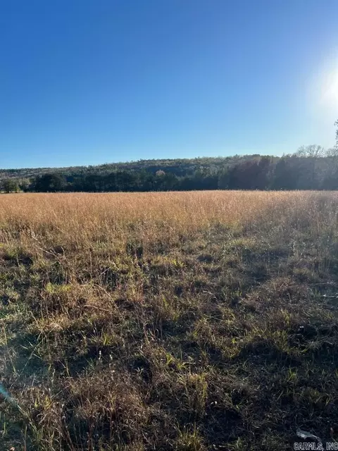2035 Banner Mtn Rd, Shirley, AR 72153