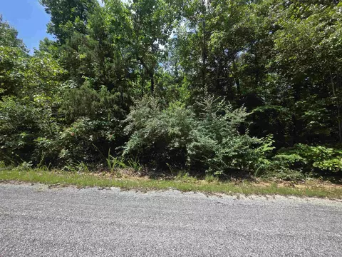 1101 S Michigan Ave, Horseshoe Bend, AR 72512