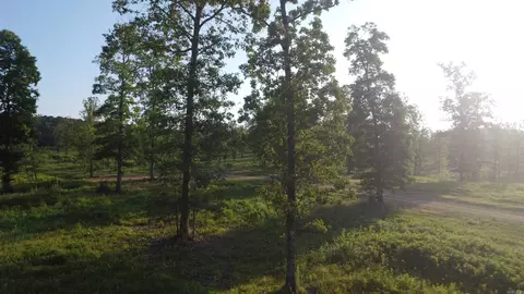 Tract 08 Tbd Whittington Homestead, Story, AR 71970