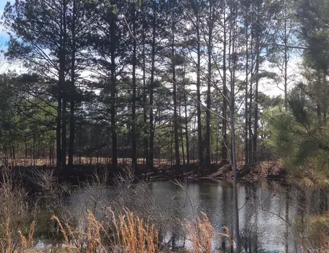 View/Area - 293 Social Hill Loop, Malvern, AR 72104 photo 3 of 3