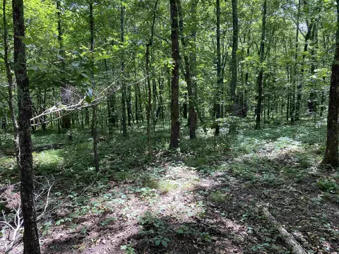 lot4 Bluff Dr, Edgemont, AR 72044 photo 5