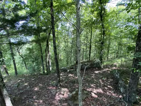 lot4 Bluff Dr, Edgemont, AR 72044 photo 3