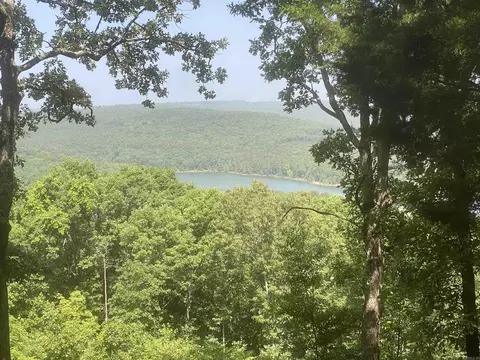 lot5 Bluff Dr, Edgemont, AR 72044 photo 6