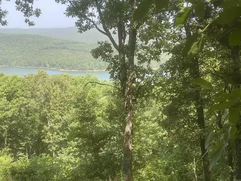 lot5 Bluff Dr, Edgemont, AR 72044 photo 4