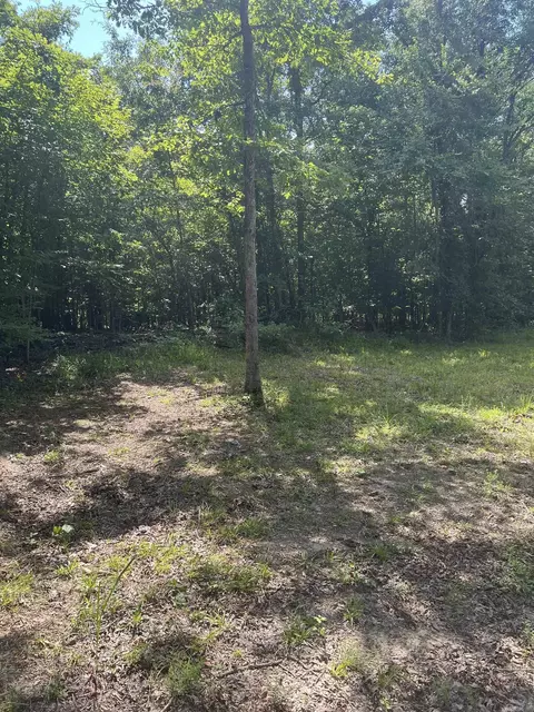 Nn Peaceful Hills Road, Bonnerdale, AR 71933