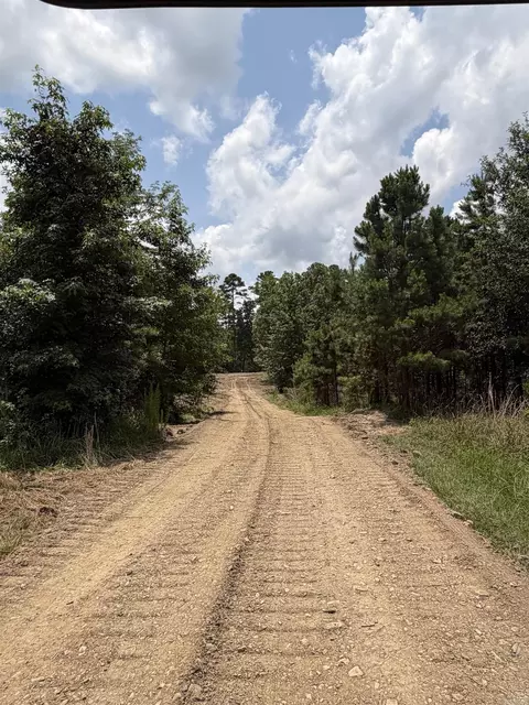 tbd Easement Road Off Polk Road 31, Cove, AR 71937