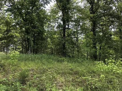 Assiniboin Lane, Cherokee Village, AR 72529