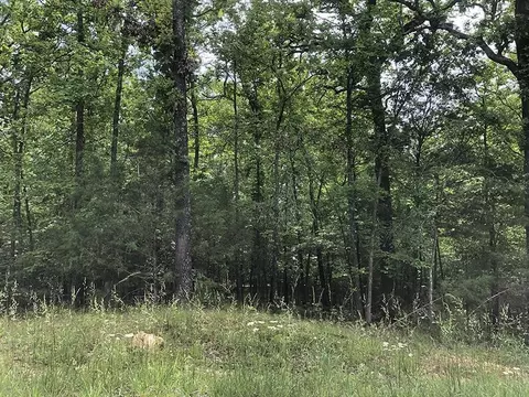 1608 Adams Cir, Horseshoe Bend, AR 72512