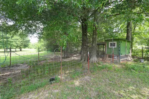 1101 Brushy Rd, Oden, AR 71961 photo 41
