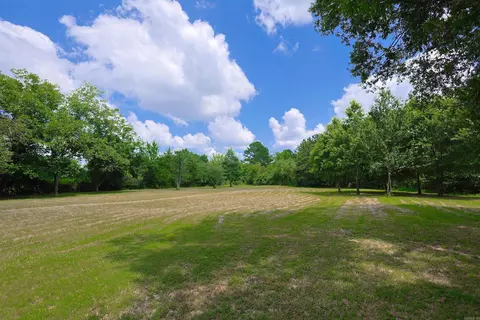 1101 Brushy Rd, Oden, AR 71961 photo 47