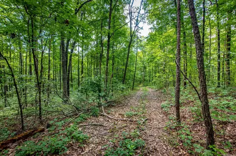 Highway 16 West, Crabtree, AR 72031 photo 7