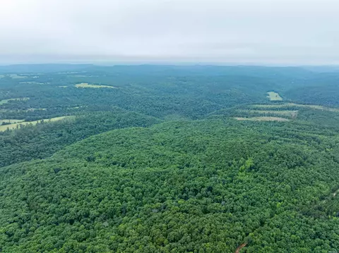 Highway 16 West, Crabtree, AR 72031 photo 38