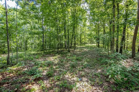 Highway 16 West, Crabtree, AR 72031 photo 15