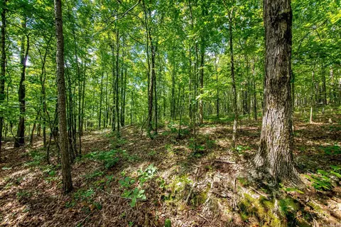 Highway 16 West, Crabtree, AR 72031 photo 6