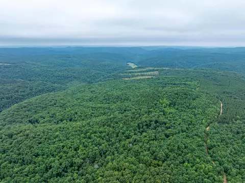 Highway 16 West, Crabtree, AR 72031 photo 37