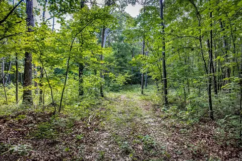 Highway 16 West, Crabtree, AR 72031 photo 18