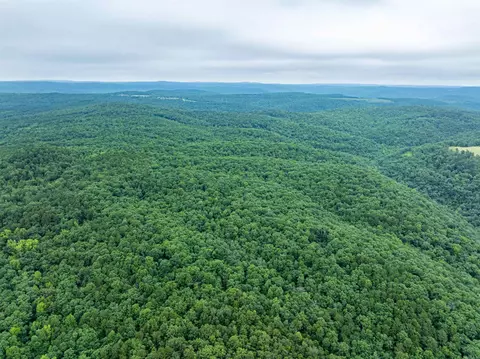 Highway 16 West, Crabtree, AR 72031 photo 30