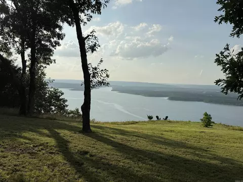 Pt Lot 1 Diamond Bluff Rd, Quitman, AR 72131 photo 10