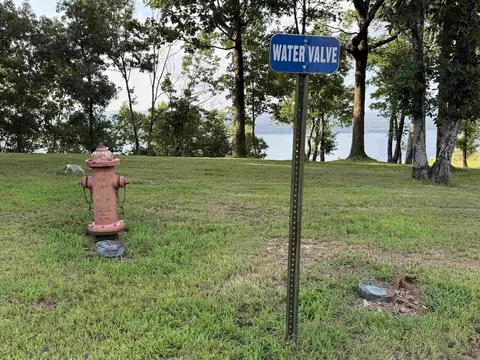 Diamond Bluff Rd, Quitman, AR 72131 photo 4
