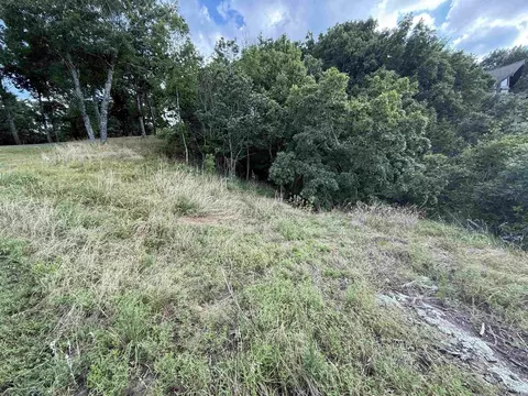 Diamond Bluff Rd, Quitman, AR 72131 photo 16