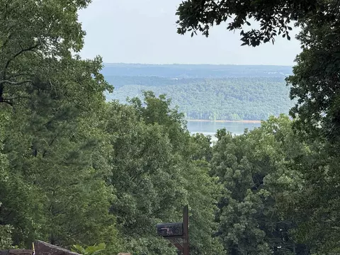 Pt Lot 1 Diamond Bluff Rd, Quitman, AR 72131 photo 33