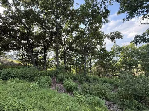 Diamond Bluff Rd, Quitman, AR 72131 photo 6