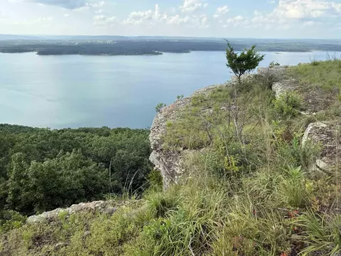 Pt Lot 1 Diamond Bluff Rd, Quitman, AR 72131 photo 19
