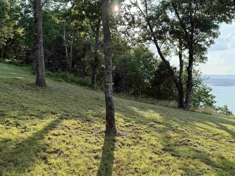 Diamond Bluff Rd, Quitman, AR 72131 photo 15