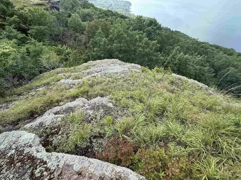 Pt Lot 1 Diamond Bluff Rd, Quitman, AR 72131 photo 26