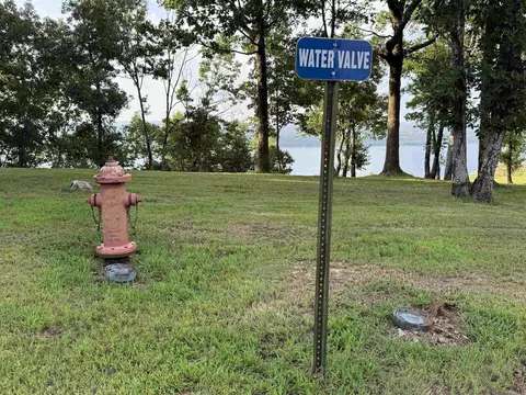 Pt Lot 1 Diamond Bluff Rd, Quitman, AR 72131 photo 4