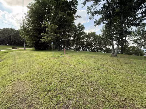 Pt Lot 1 Diamond Bluff Rd, Quitman, AR 72131 photo 5
