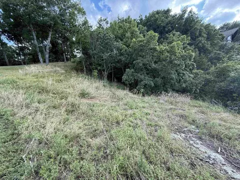 Pt Lot 1 Diamond Bluff Rd, Quitman, AR 72131 photo 16