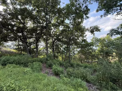 Pt Lot 1 Diamond Bluff Rd, Quitman, AR 72131 photo 6
