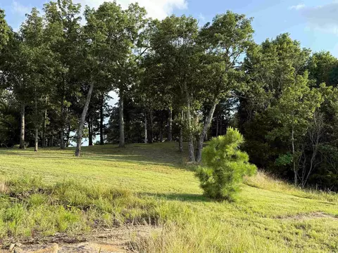 Pt Lot 1 Diamond Bluff Rd, Quitman, AR 72131 photo 29