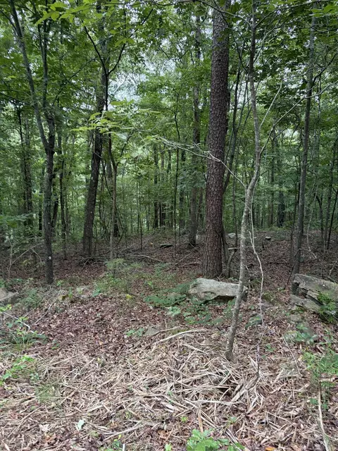 Bear Mountain Rd., Prim, AR 72130 photo 5