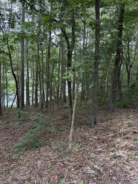 Bear Mountain Rd., Prim, AR 72130 photo 17
