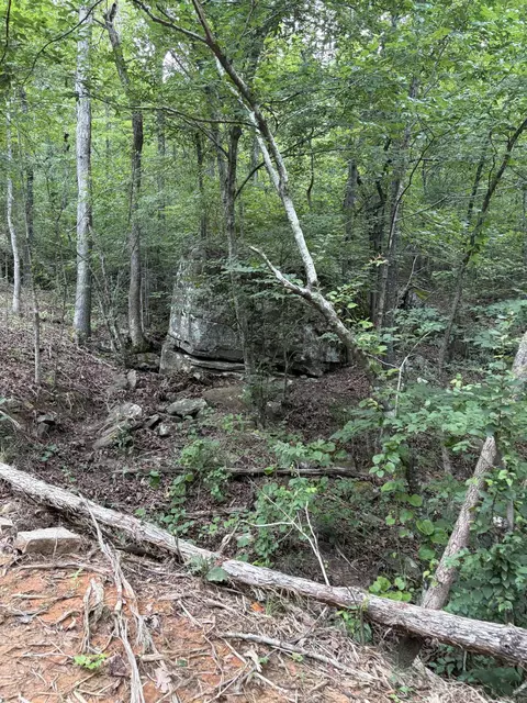 Bear Mountain Rd., Prim, AR 72130 photo 6