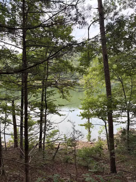Bear Mountain Rd., Prim, AR 72130 photo 10