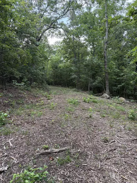 Bear Mountain Rd., Prim, AR 72130 photo 7