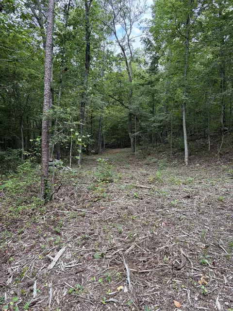 Bear Mountain Rd., Prim, AR 72130 photo 16
