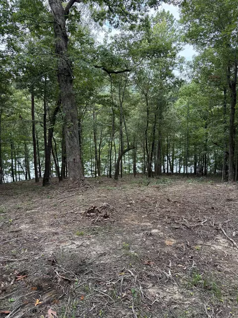 Bear Mountain Rd., Prim, AR 72130 photo 13