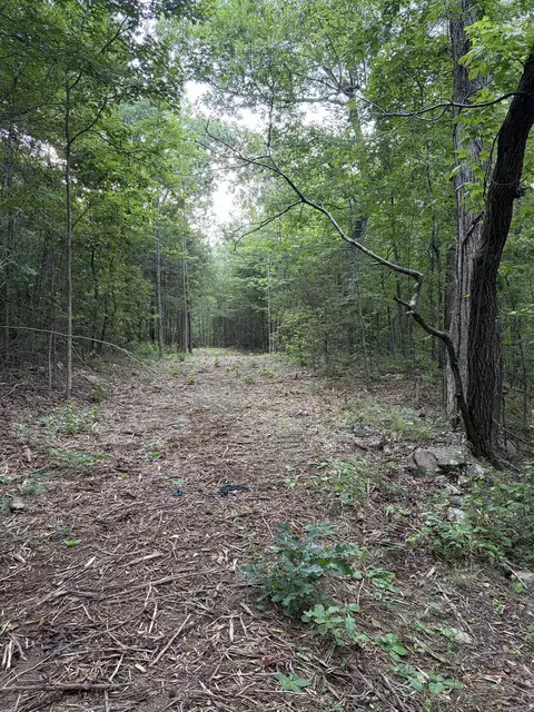 Bear Mountain Rd., Prim, AR 72130 photo 15
