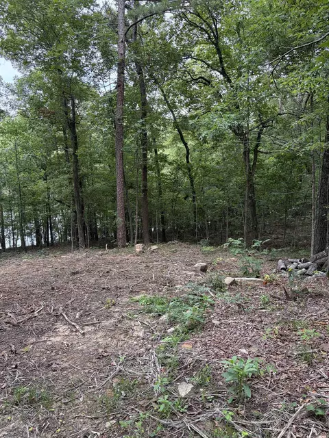 Bear Mountain Rd., Prim, AR 72130 photo 12
