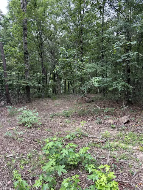 Bear Mountain Rd., Prim, AR 72130 photo 6