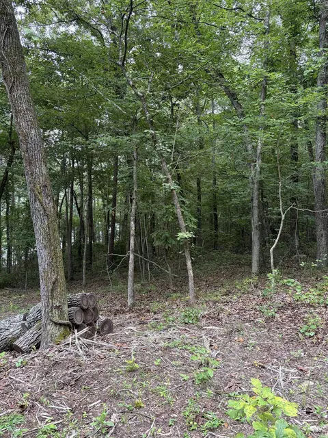 Bear Mountain Rd., Prim, AR 72130 photo 16
