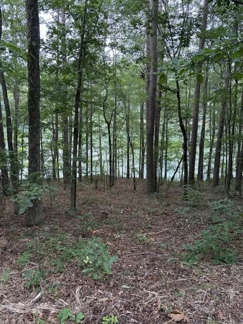 Bear Mountain Rd., Prim, AR 72130 photo 5