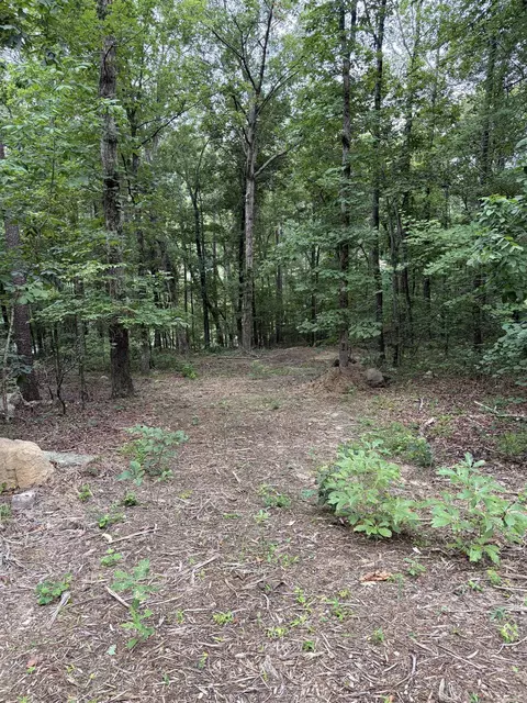 Bear Mountain Rd., Prim, AR 72130 photo 10