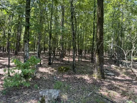 Other - 21 Mountain View Rd, Conway, AR 72034 photo 12 of 17